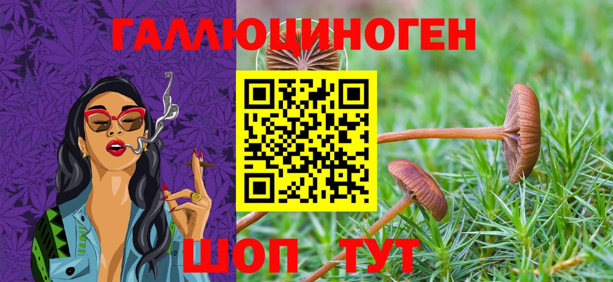 Ковров  Псилоцибиновые грибы GOLDEN TEACHER  Вход с VPN 